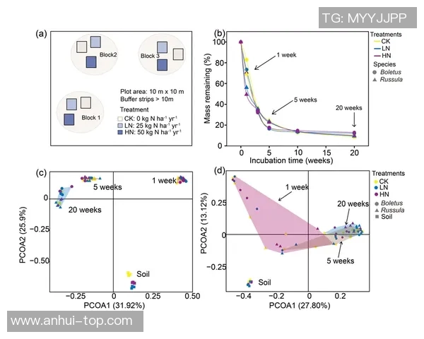 成都滑板队进攻战术解析与滑板热点动态探讨