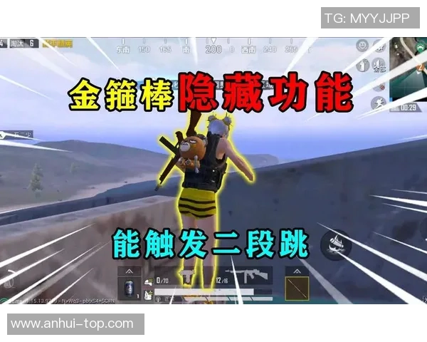 揭秘和平精英成功背后的故事与赵磊的独特见解