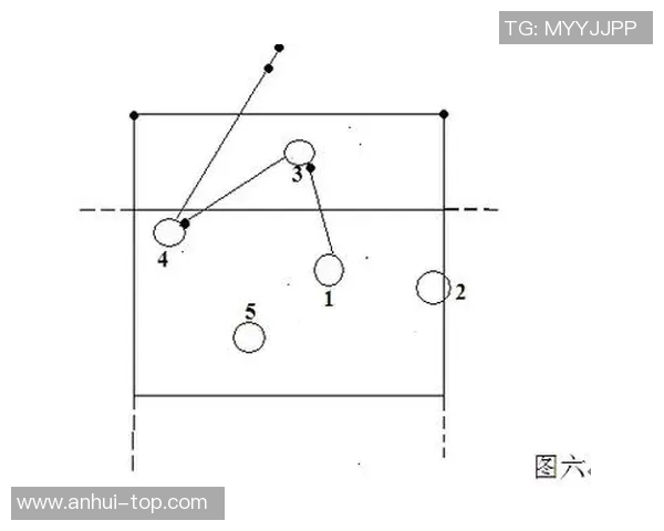 杭州排球队战术深度解析与实战应用探讨