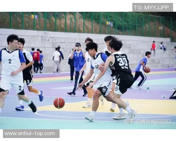 深圳篮球队的意识提升与团队协作探讨聚焦篮球发展新方向