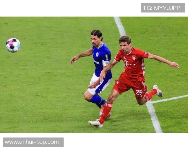 沙尔克与弗赖堡激战正酣精彩直播全程回顾与分析